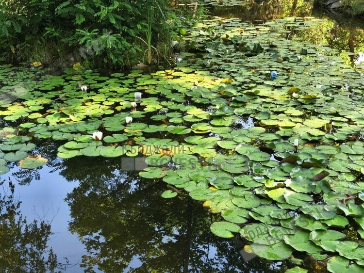 Слънчево и тихо днес в Кърджали