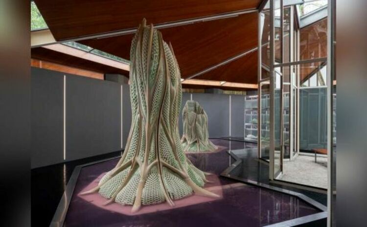 Пикопланктониката показва обекти с голям формат, изработени от фотосинтетични структури.