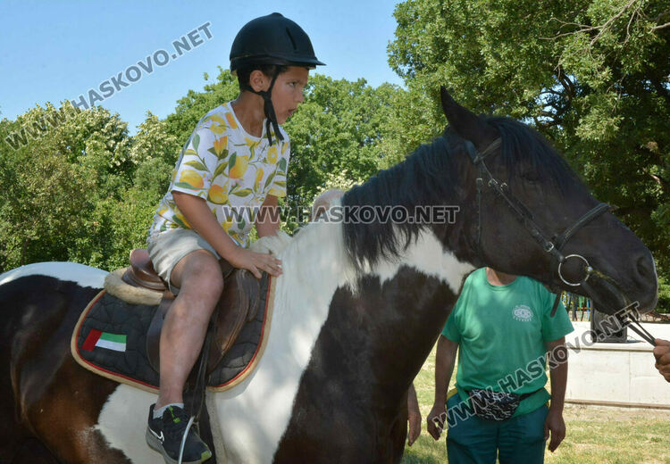 С венец от 77 ½ ароматни и лековити билки и конна езда започна Еньовден в Хасково 