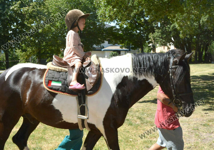 С венец от 77 ½ ароматни и лековити билки и конна езда започна Еньовден в Хасково 