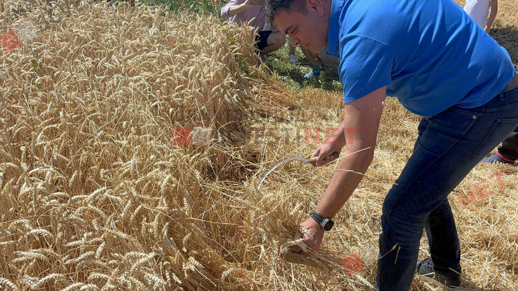 С ритуално зажънване в село Горски извор започна жътвената кампания в община Димитровград