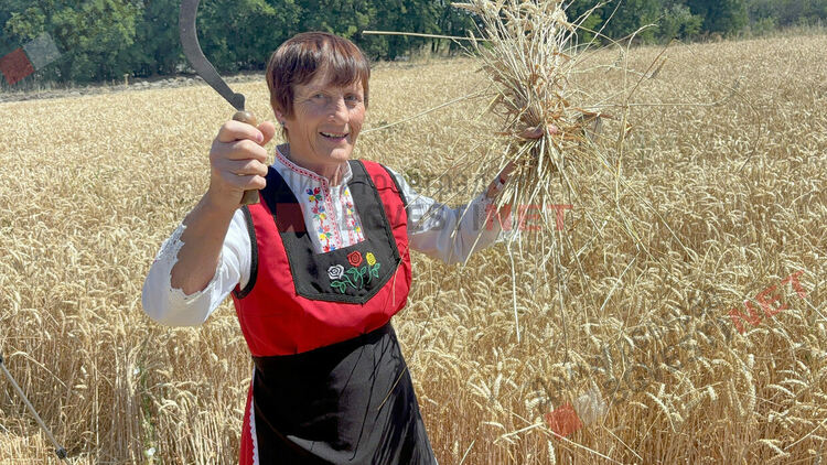 С ритуално зажънване в село Горски извор започна жътвената кампания в община Димитровград