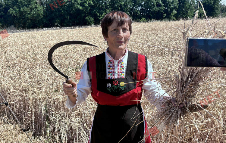 С ритуално зажънване в село Горски извор започна жътвената кампания в община Димитровград