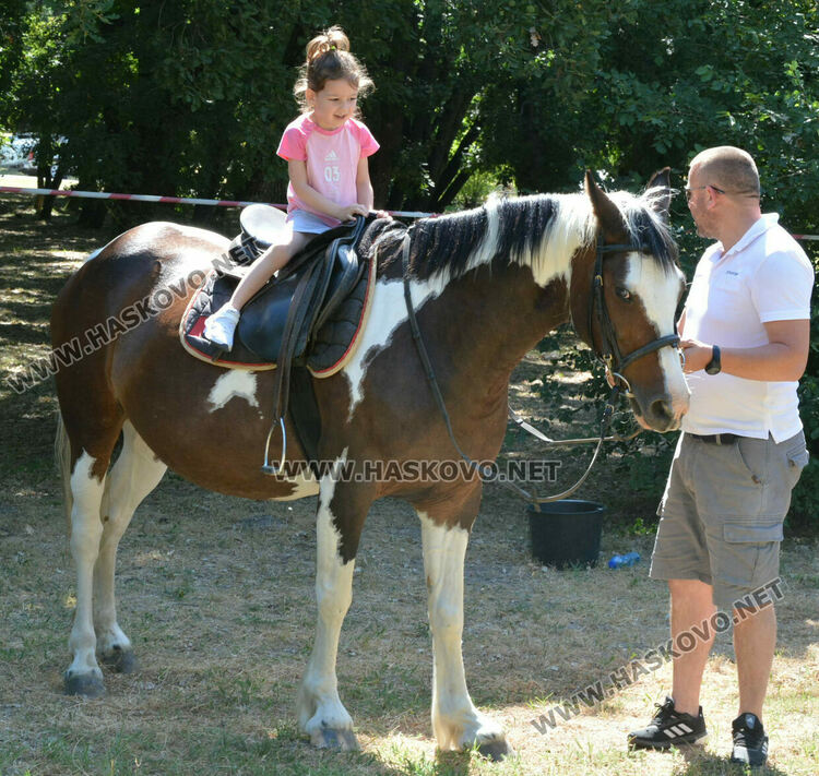 С венец от 77 ½ ароматни и лековити билки и конна езда започна Еньовден в Хасково 