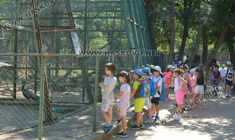 Нови табели в хасковския Зоопарк указват с какво да се хранят животните