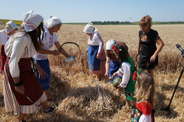 С ритуала „Зажънване“ дадоха официален старт на жътвата 