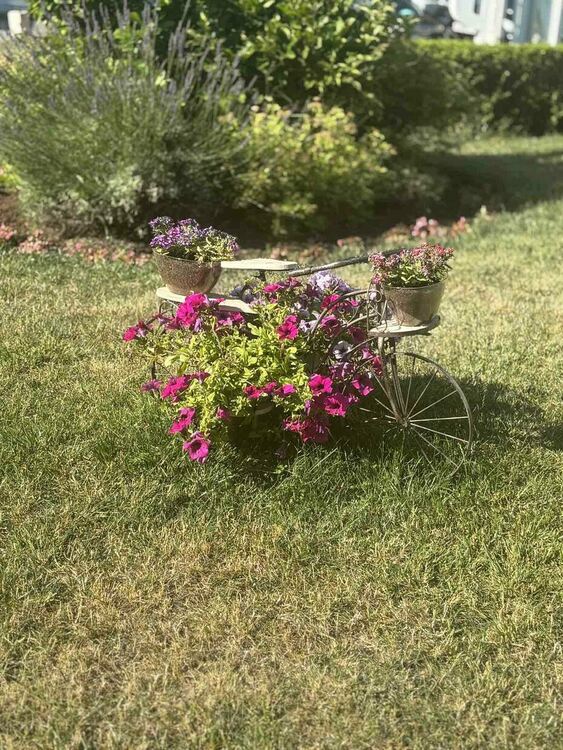 Радомир се променя – над 5000 цветя са засадени в централната част на града, около обществени сгради, паркове, образователни и културни институции