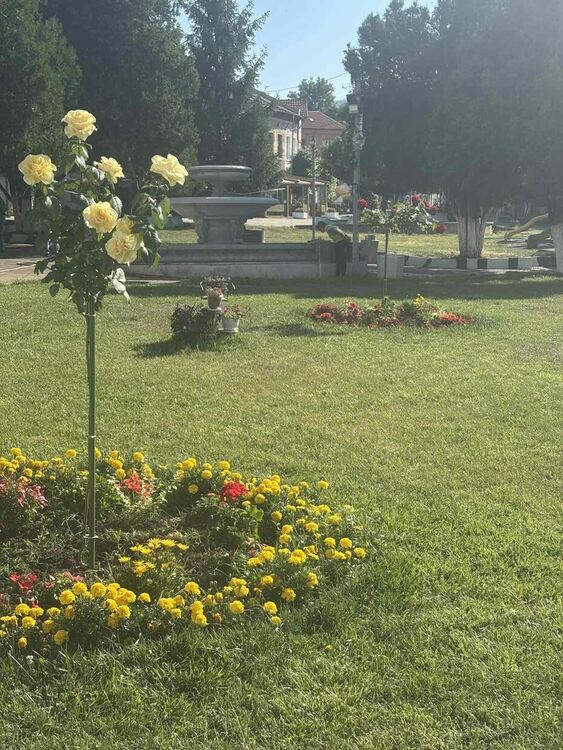 Радомир се променя – над 5000 цветя са засадени в централната част на града, около обществени сгради, паркове, образователни и културни институции