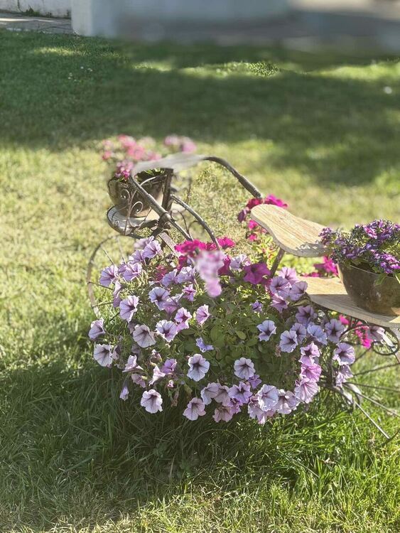 Радомир се променя – над 5000 цветя са засадени в централната част на града, около обществени сгради, паркове, образователни и културни институции