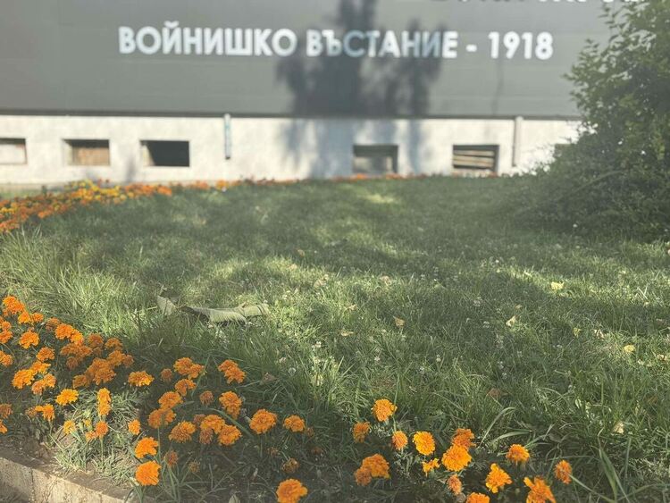 Радомир се променя – над 5000 цветя са засадени в централната част на града, около обществени сгради, паркове, образователни и културни институции