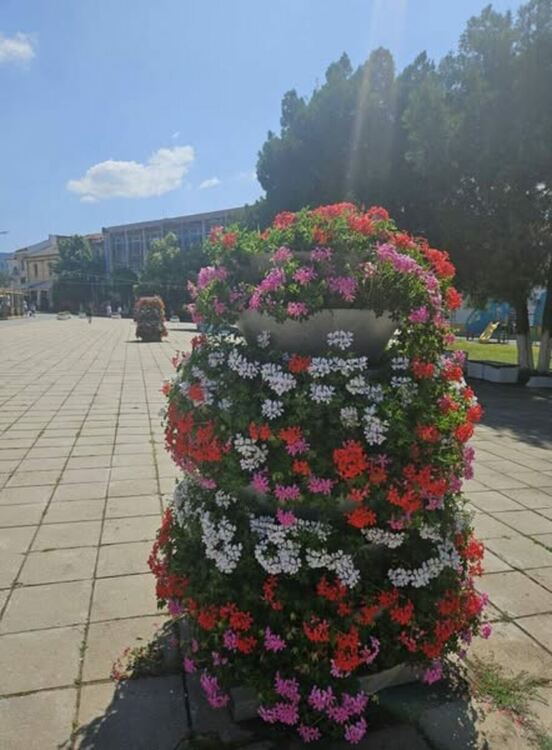 Радомир се променя – над 5000 цветя са засадени в централната част на града, около обществени сгради, паркове, образователни и културни институции