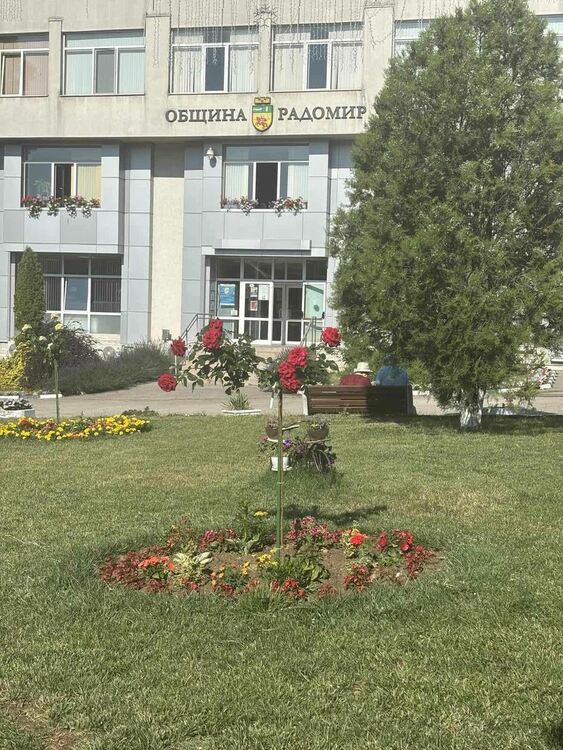 Радомир се променя – над 5000 цветя са засадени в централната част на града, около обществени сгради, паркове, образователни и културни институции