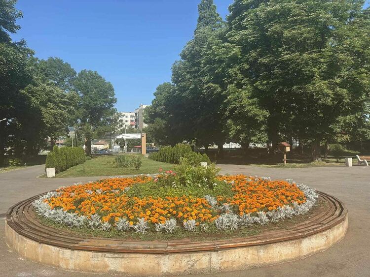 Радомир се променя – над 5000 цветя са засадени в централната част на града, около обществени сгради, паркове, образователни и културни институции