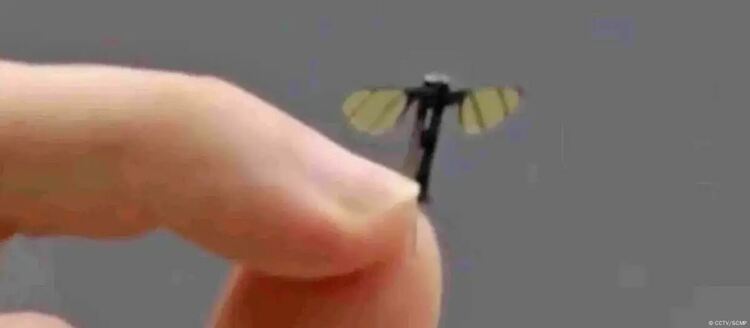 Копирайки природата, военните разработват безпилотни летателни апарати, които да са възможно най-малки и възможно най-мощни