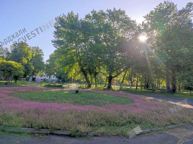    Предимно слънчево и тихо време днес в Кърджали,горещо