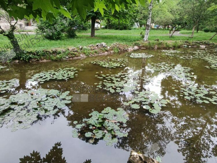    Предимно облачно и ветровито днес в Кърджали