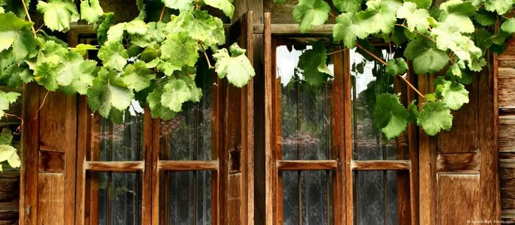 България е сред основните страни, към които се насочват германски пенсионери с ниски доходи