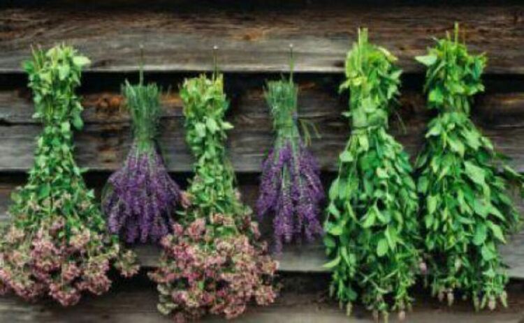 Народът празнува св. Врач, Красимир и Дамян черпят за имен ден