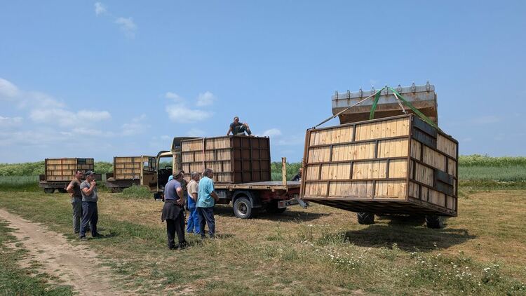 снимка: Емил Йорданов