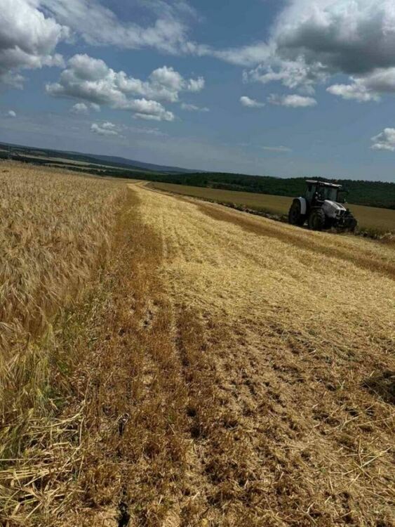 Добивите от жътвата в Югоизточна България са под обичайните нива.