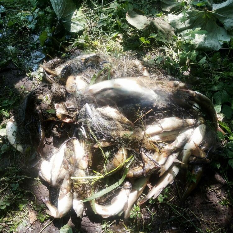 Инспектори от ИАРА извършиха близо 50 проверки на водоеми в Южна България, съставени са 8 акта