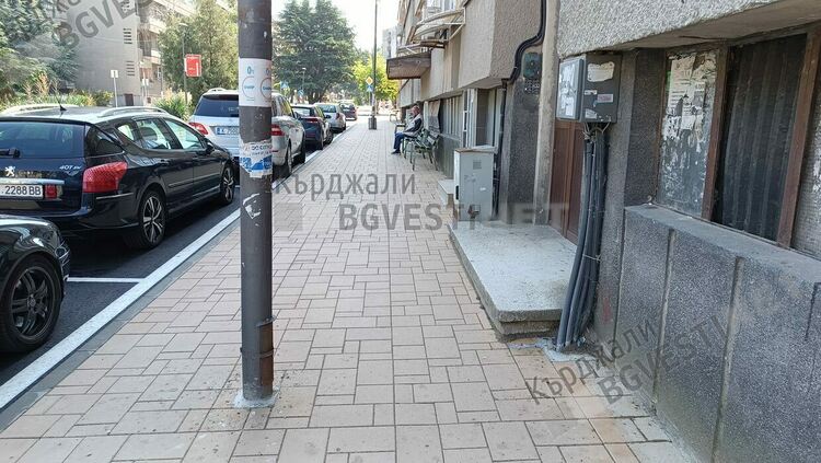  Изкорениха дървета по бул.”Тракия” преди ремонта, Община Кърджали забрави да засади нови