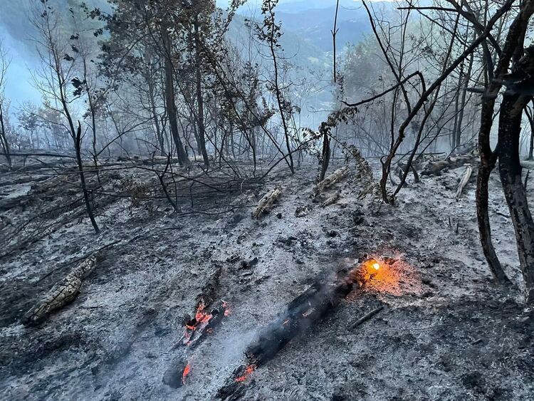 Огнеборци и доброволци продължават борбата с пожара между Рудозем и Мадан