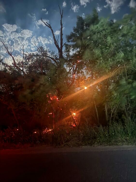 Обявиха частично бедствено положение в община Свиленград заради пожар