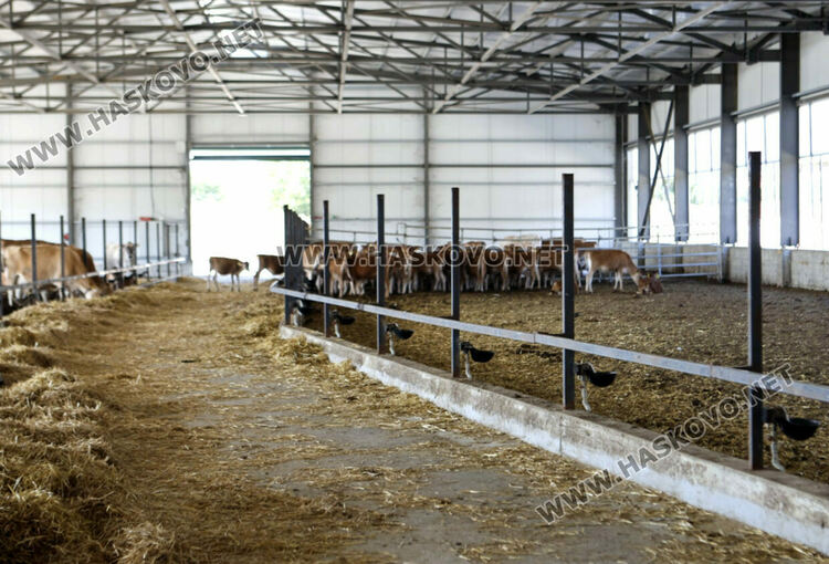 Мъж и жена са задържани за нелегалната фабрика за цигари край Момково, издирват още четирима