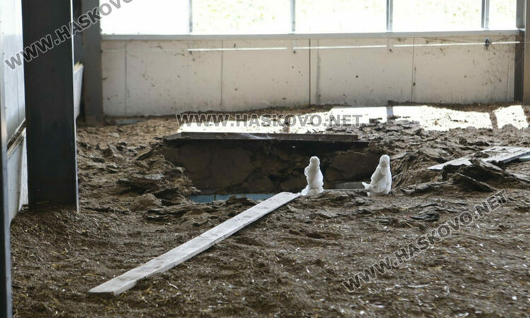 Мъж и жена са задържани за нелегалната фабрика за цигари край Момково, издирват още четирима