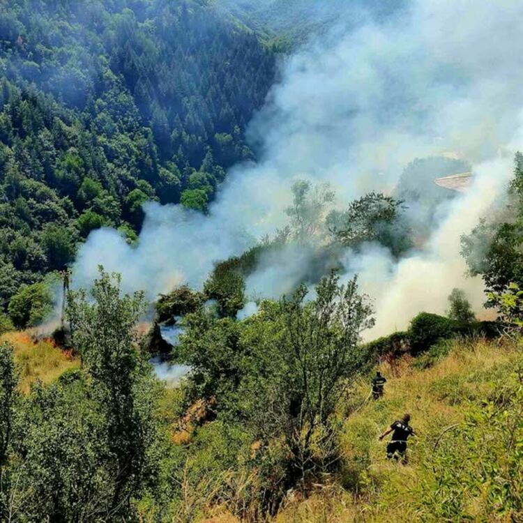 Пожар пламна край асеновградското село Косово