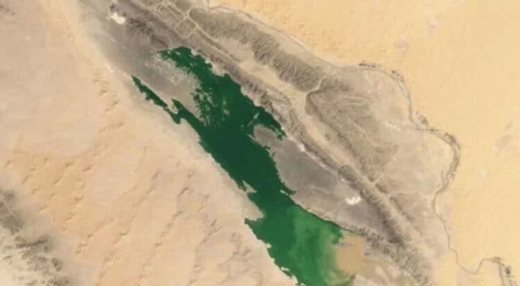 Сахара зеленее