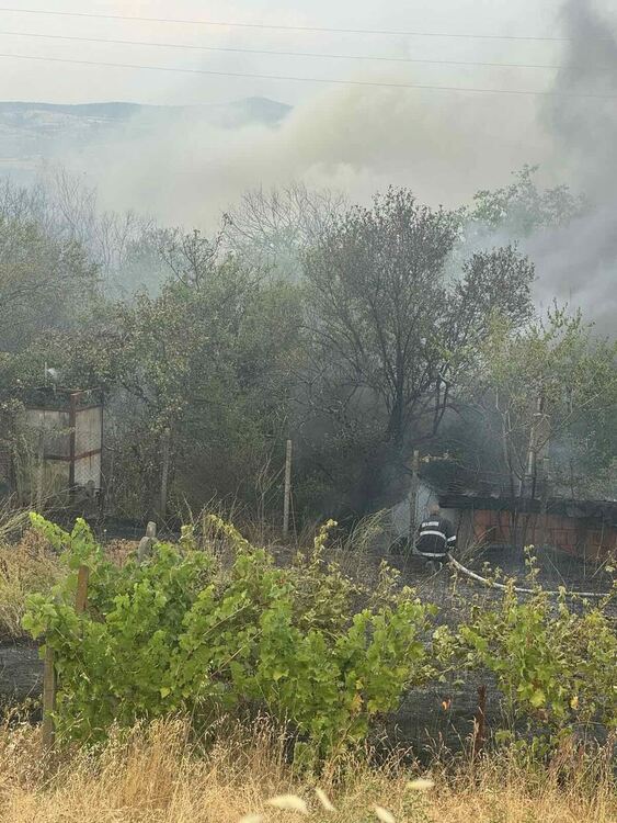 Пожар изпепели вила, лозя, треви и храсти край Харманли