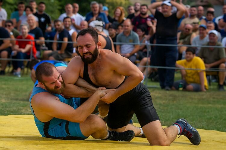 изображението е илюстративно