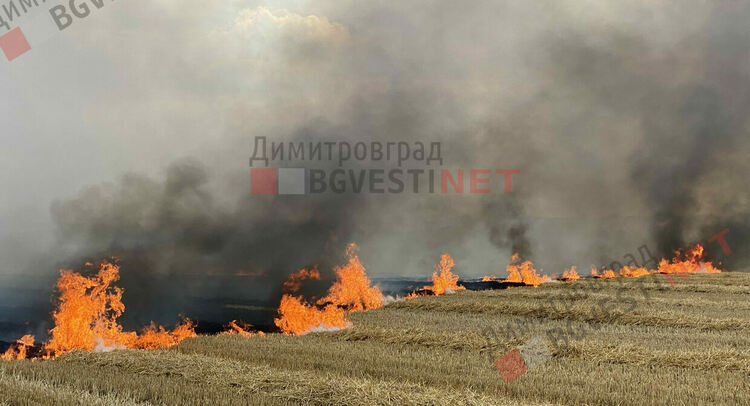 Снимка от архива