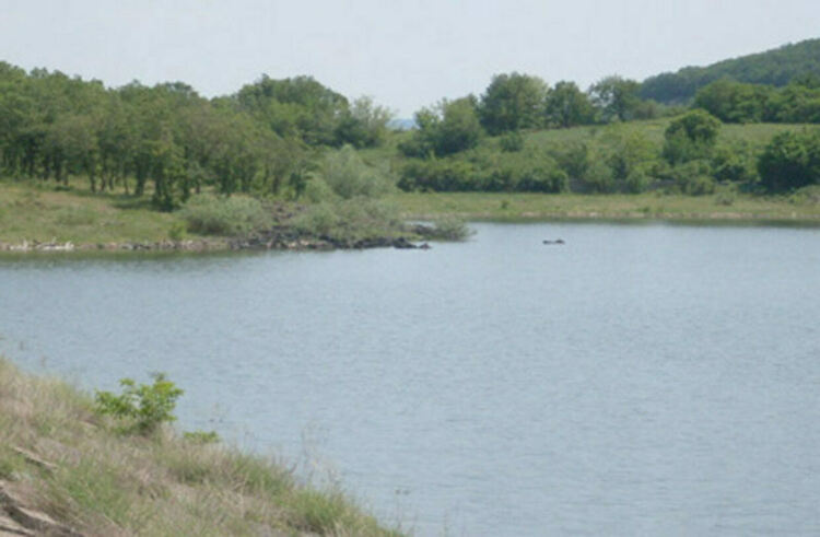 Снимката е архивна и илюстративна