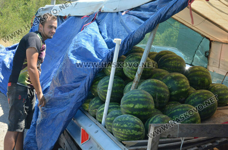 Затвориха много незаконни сергии край пътя от Хасково към Кърджали