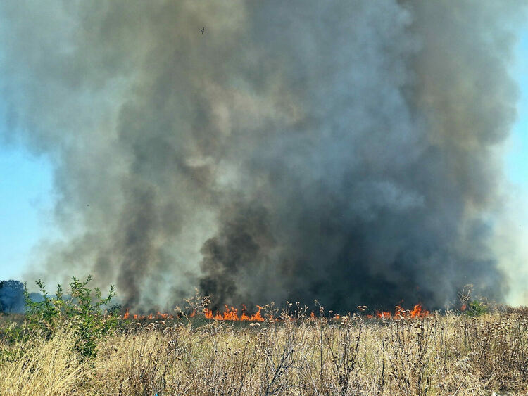 Необитаема къща и плевня изгоряха в Свиленград
