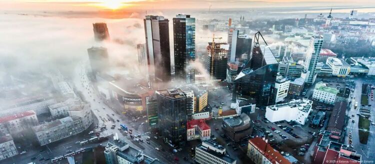 Естония завърши цифровизацията на всички административни услуги и вече е лидер в Европа