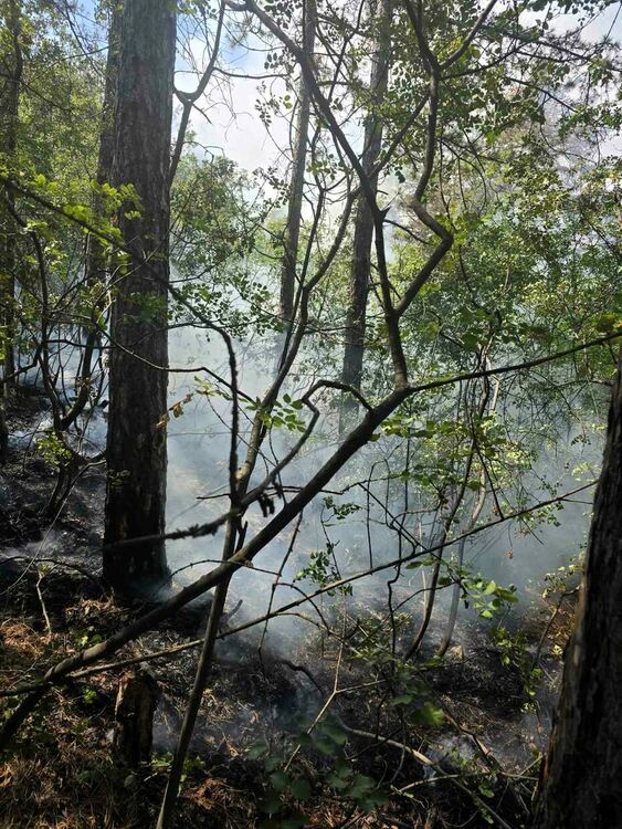 Голям пожар избухна между Долни Воден и Горни Воден