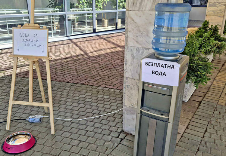 В жегите община Димитровград осигурява пунктове за вода за граждани и животни