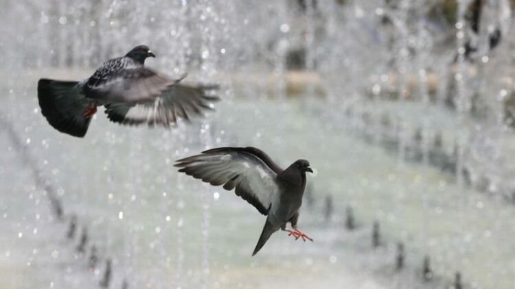 Източник: БГНЕС