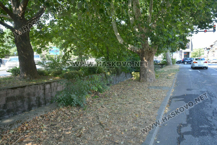 Жена е със счупени крак и ръка след падане в коритото на река в Хасково