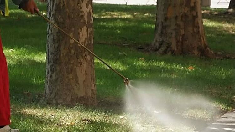 На 25 и 26 юли пръскат срещу комари в Кърджали