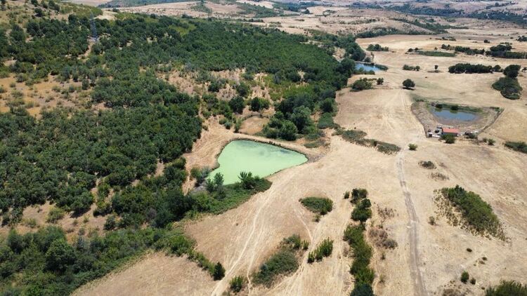 Жители на Сърница: Животновъд замърсява язовир край селото