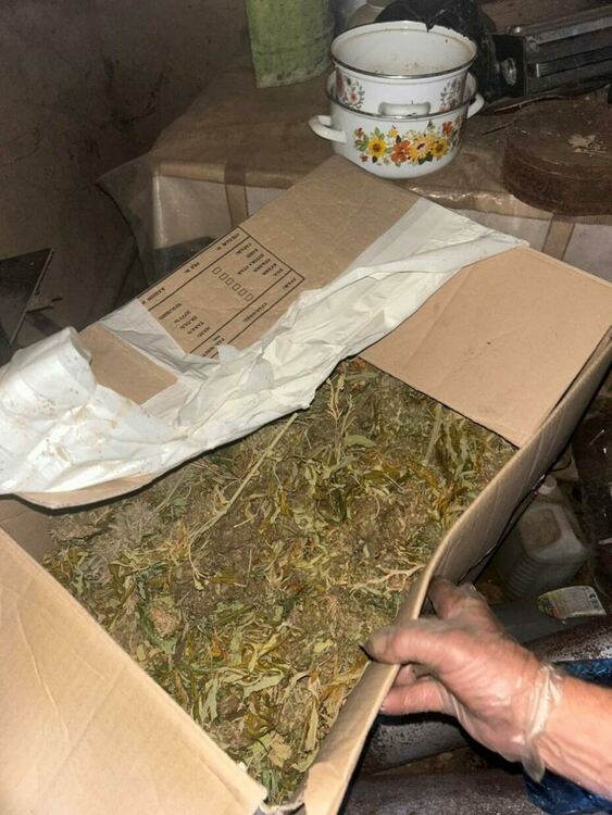 Униформени иззеха над 8 кг канабис при спецакция в Пернишко