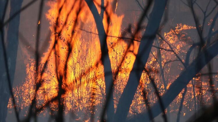 Пожарът в село Илиндеци се разраства! Хеликоптер ще се включи в гасенето му