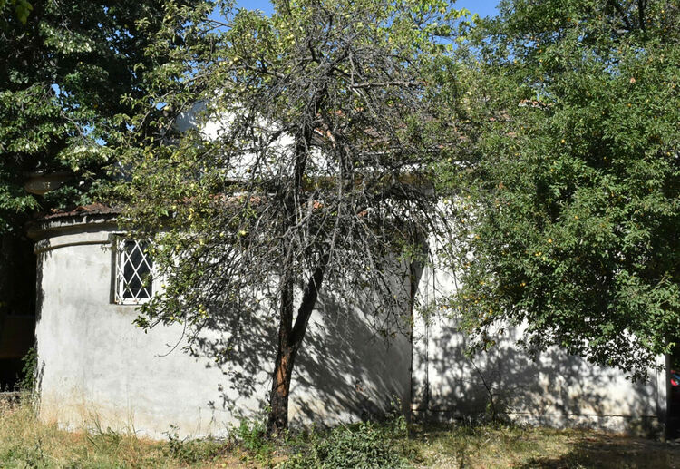 В Димитровград почетоха свети Пантелеймон