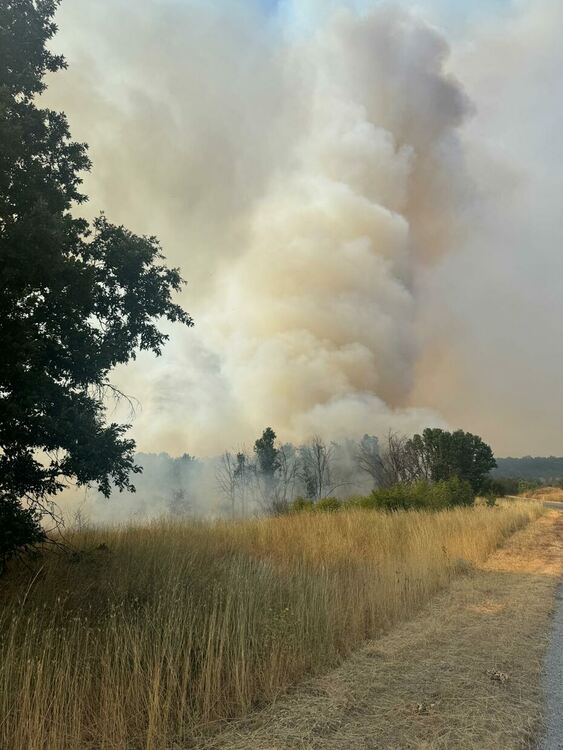 Отново се разгоря пожарът в Тополовградско