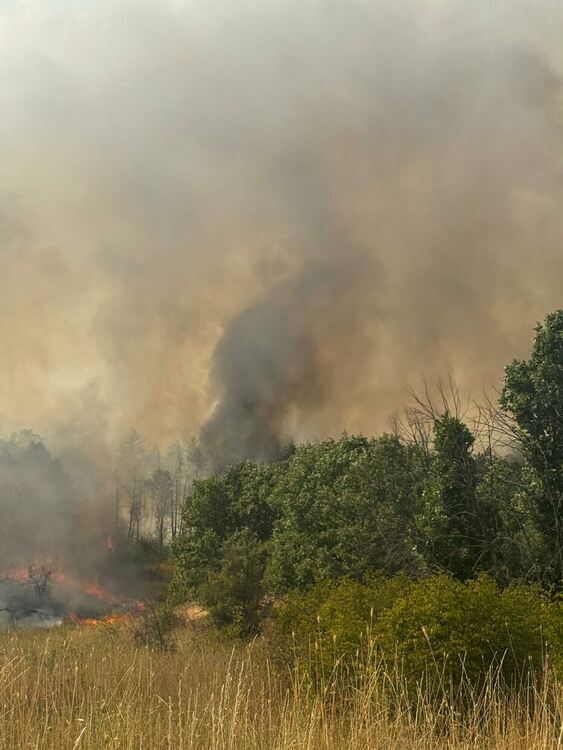 Отново се разгоря пожарът в Тополовградско